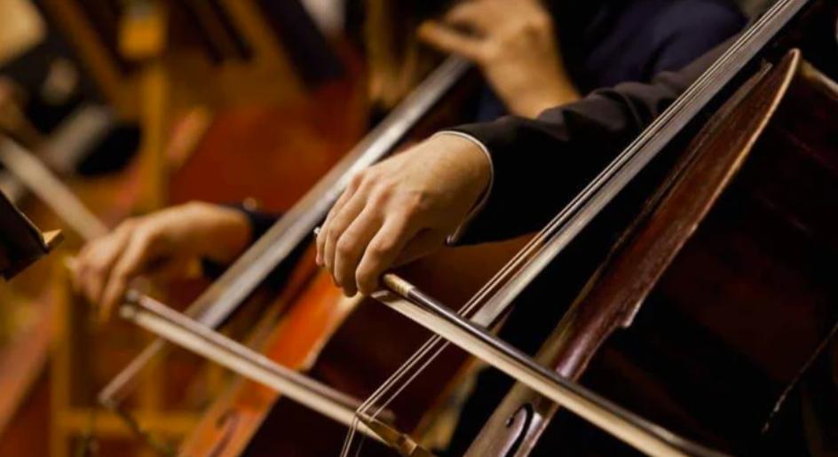 Parkland Music-大提琴課程